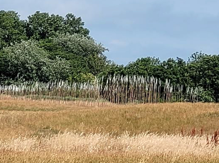 Resonerende golven van het verleden – Ed de Wild